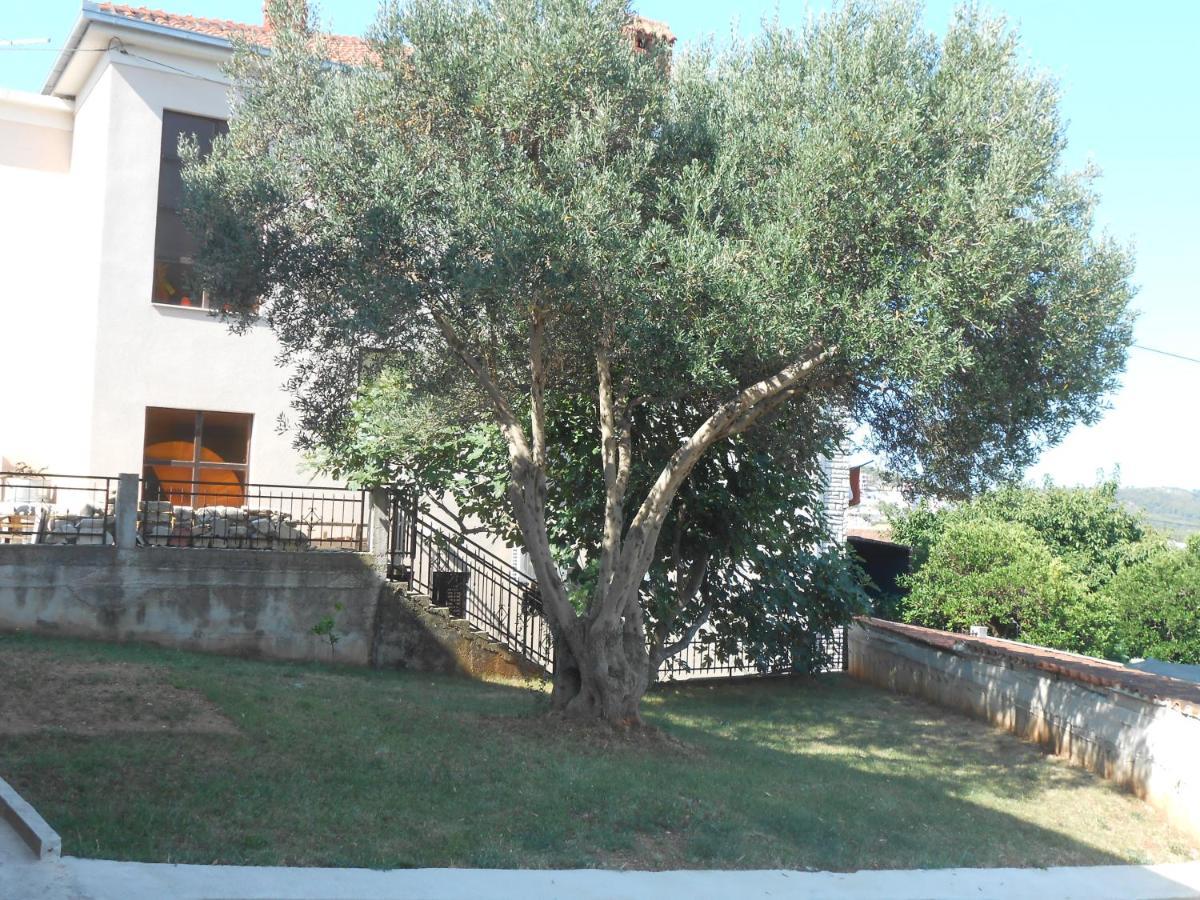 Apartments With A Parking Space Okrug Gornji, Ciovo - 13859 Трогір Екстер'єр фото